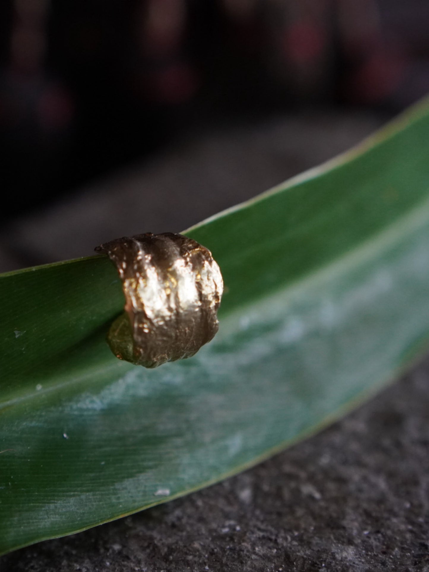 EAR CUFF / PATTI -brass